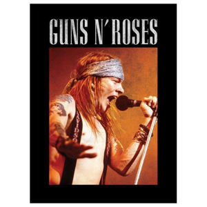 obraz Guns N' Roses - Axl - PYRAMID POSTERS - FP10864P
